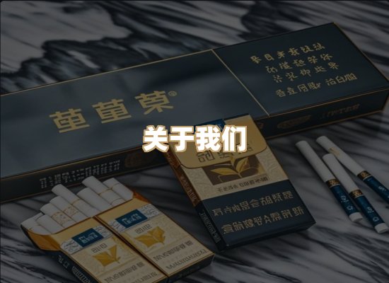 关于小珠韵烟草网